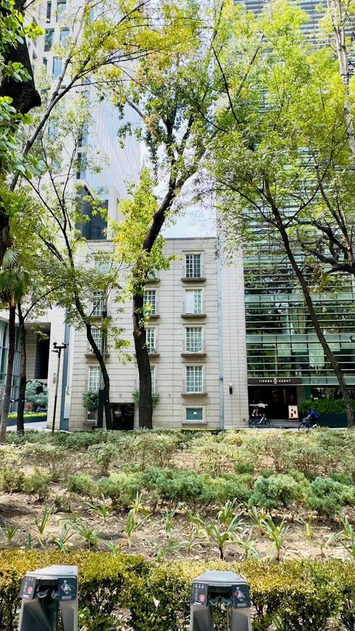 Fachada del edificio con estilo clásico rodeado de vegetación.