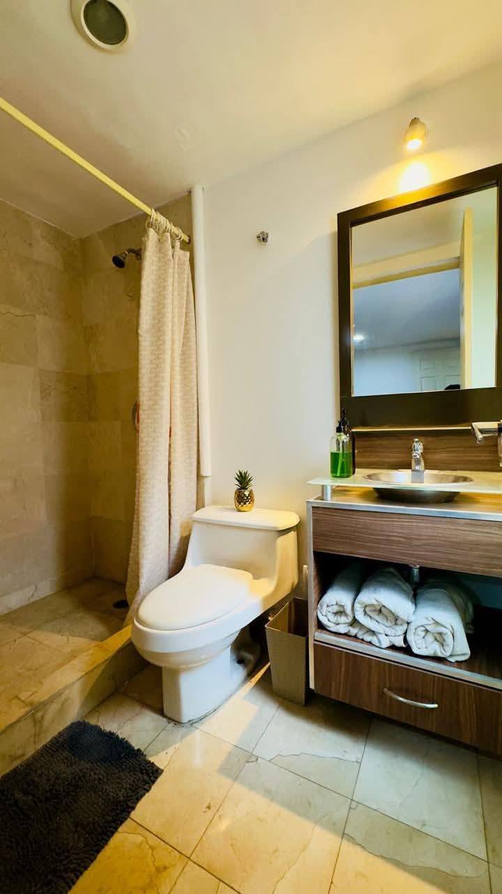 Baño con acabados de mármol y ducha amplia.