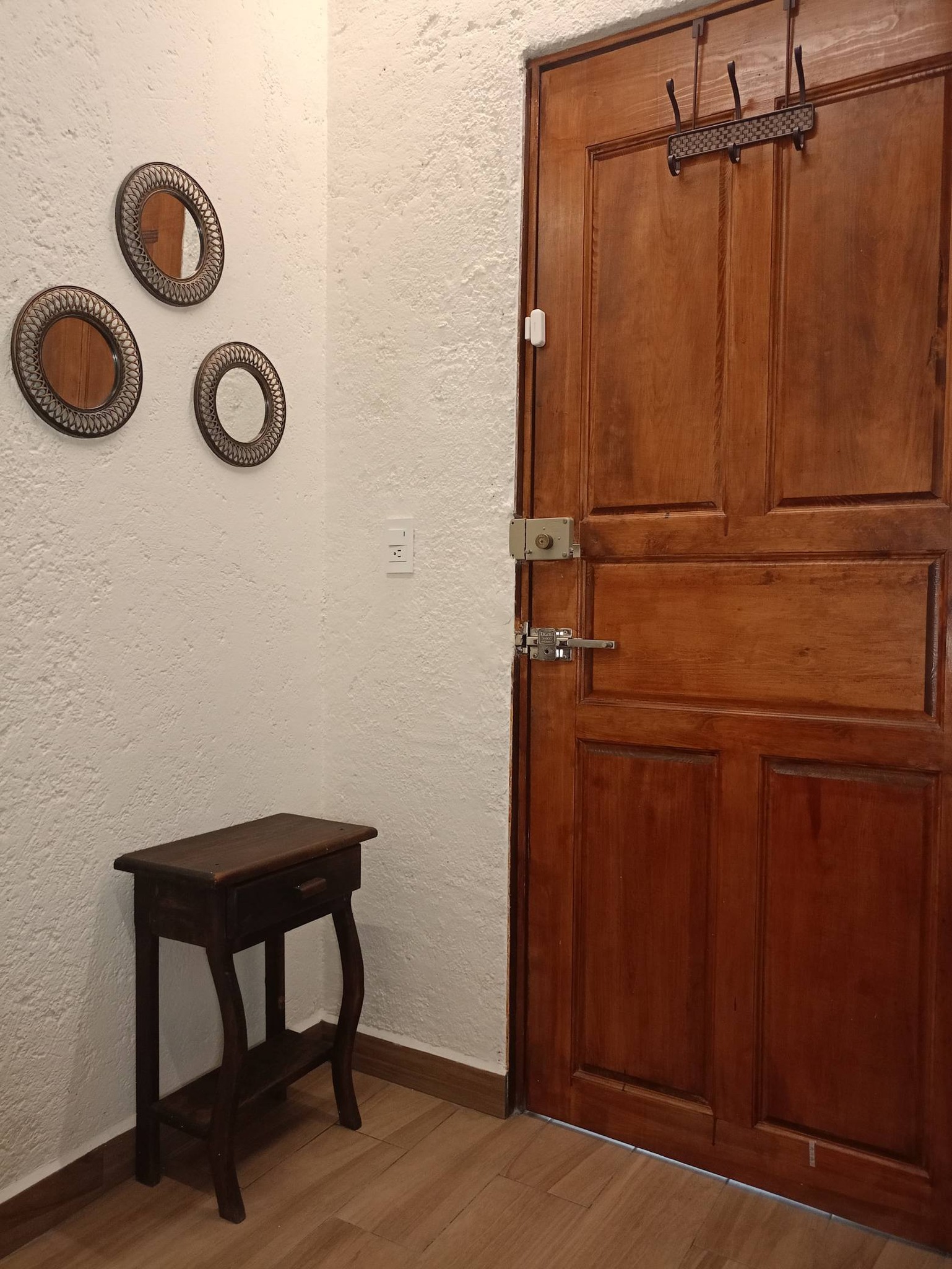 Entrada con puerta de madera sólida y decoración en las paredes.